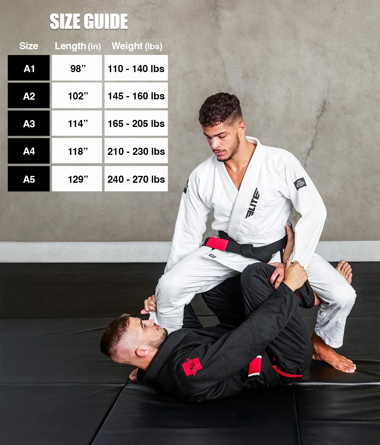 Brazilian Jiu Jitsu Adults BJJ Black Belt - Image 3